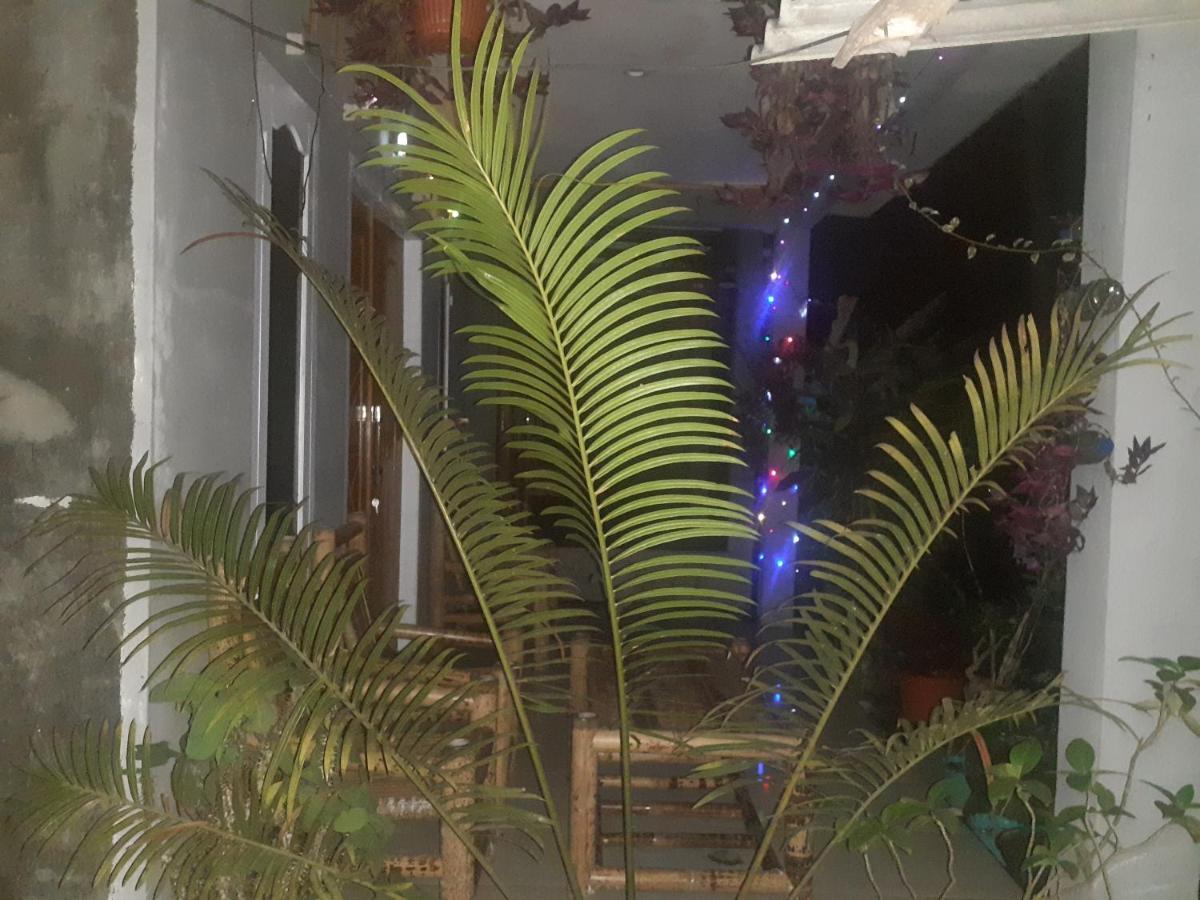 Eltari Homestay Tetebatu Εξωτερικό φωτογραφία
